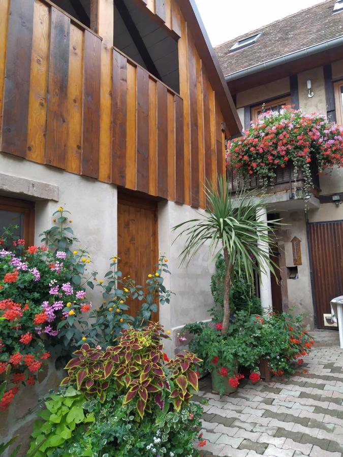 Appartments Rue Des Chateaux أوتْروت المظهر الخارجي الصورة