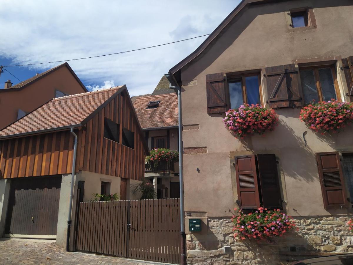 Appartments Rue Des Chateaux أوتْروت المظهر الخارجي الصورة