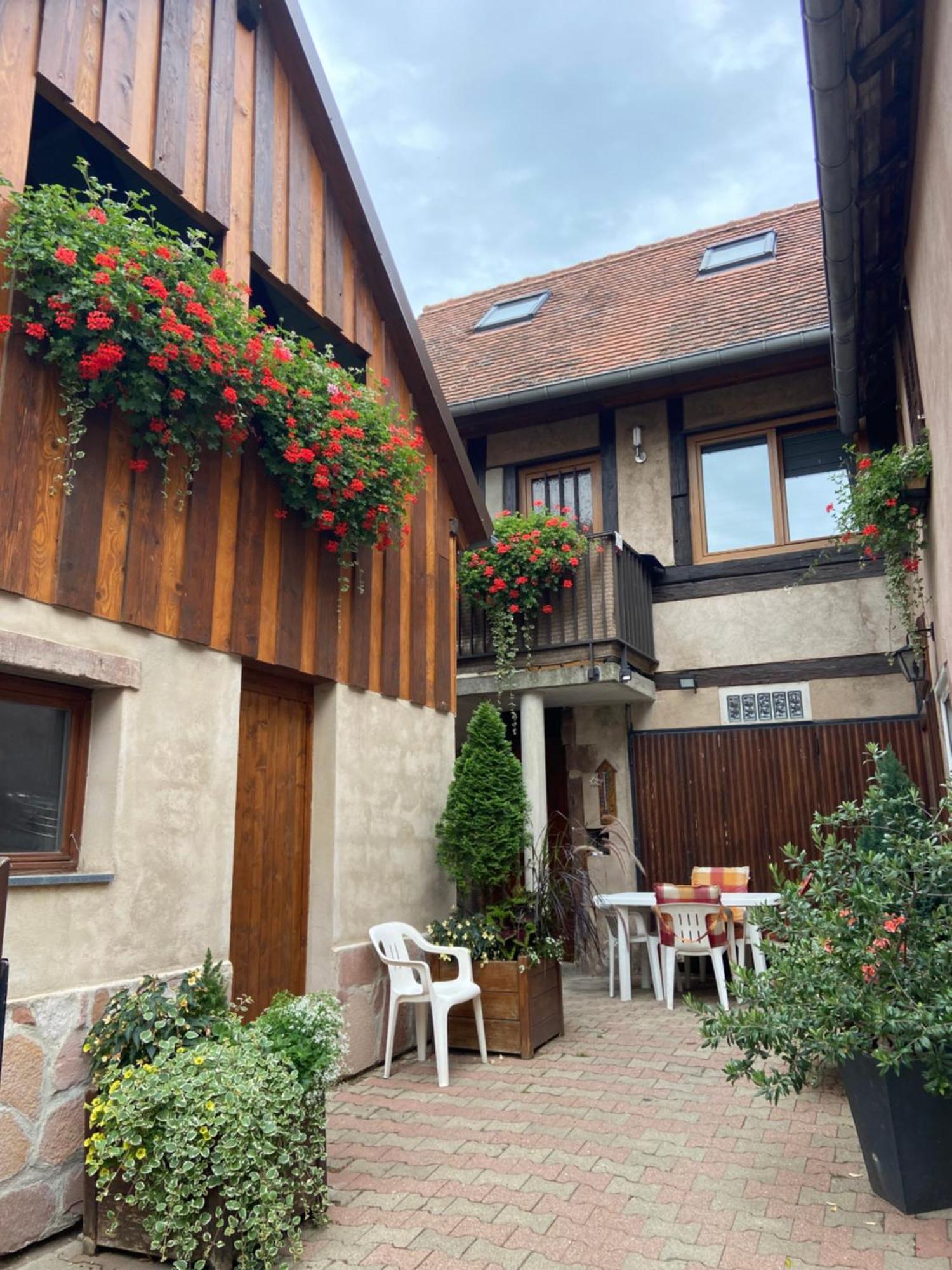 Appartments Rue Des Chateaux أوتْروت المظهر الخارجي الصورة